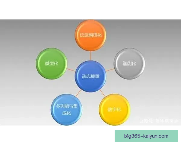 霍村逼抢体系的表现分析与趋势判断