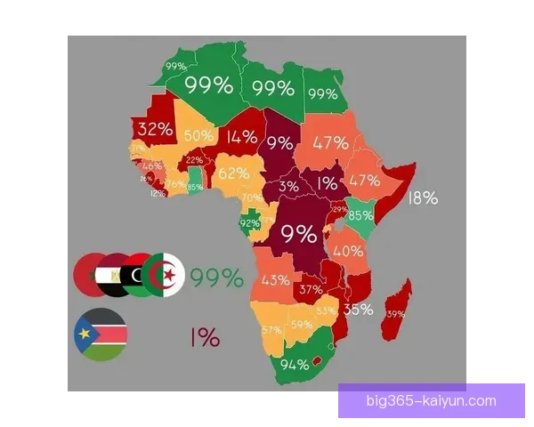 哈兰德非洲血统背景引关注 其母系家族源自北非